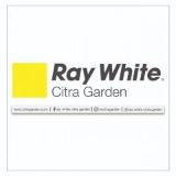 Aris Ray White Citra Garden