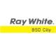Ray White BSD City 