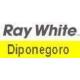 Ray White Diponegoro 