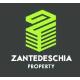 Zantedeschia Property