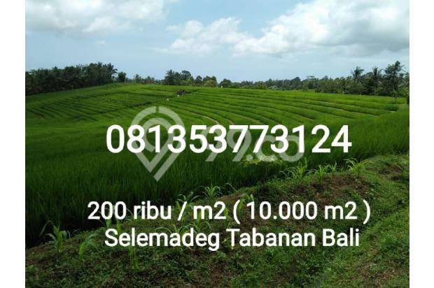 Tanah Dijual 200 Ribu M2 View Sawah Dan Sungai Di Tabanan Bali