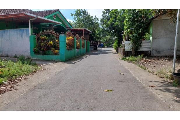 Kapling Murah Area Parung Dekat Jalan Raya Bojonggede-Kemang