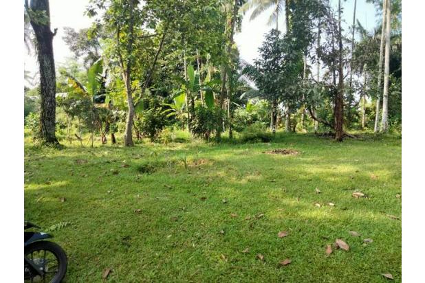Tanah Lahan Murah Dengan Luas 1.5 Hektar di Caringin Bogor Jawa Barat