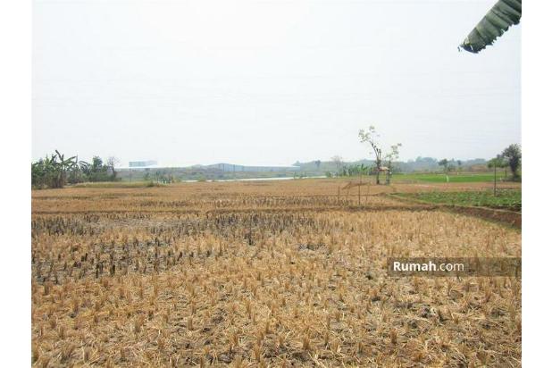 Tanah Karawang. 60 Hektar, Serifikat Hak Milik, Peruntukan Industrial/Pergudangan - 08.1212.560560