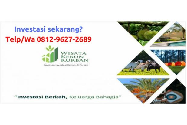 kemerdekaan 2018 wisata promo di Tanah 2689, WA PROMO!! Dijual: 9627 Makassar 2018, 0812