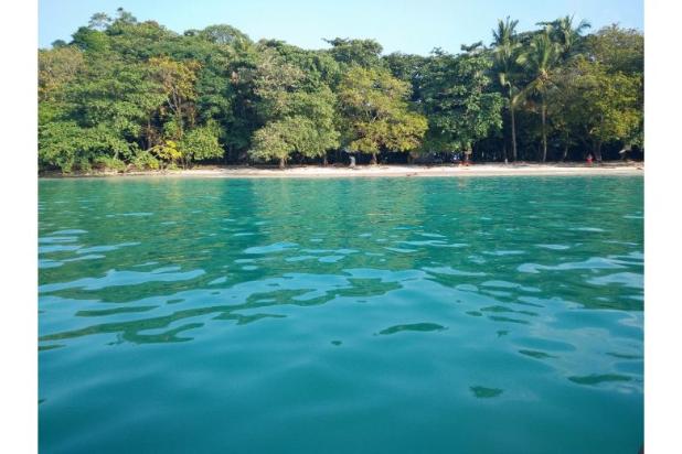 Tanah Pinggir Pantai di Kiluan, Tanggamus, Investasi 