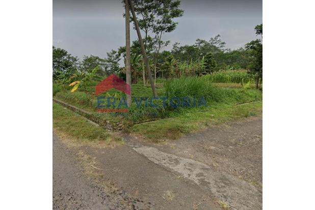 Tanah Kavling 900rb-an per m2, Jalan Depan Lebar, Dekat Kebun Teh & Telogo Land