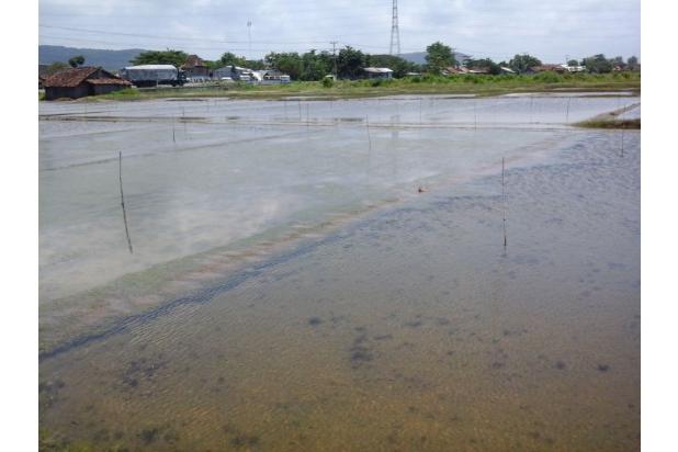Properti Dijual/sewa di Rembang, Jawa Tengah