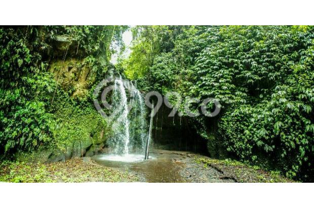 super view sawah dan air terjun di payangan ubud 