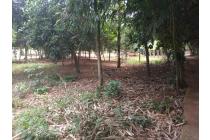 Tanah kosong seluas 2000 M2 di desa Jayamulia, Kecamatan Serang Baru, Bekasi.