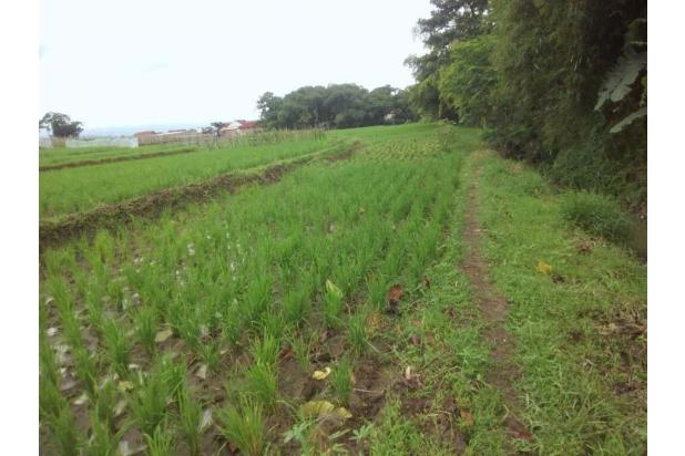  Tanah  Sawah masuk mobil  besar lt 10000m2 di  Sukamukti Katapang