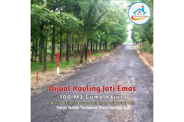 Tanah Kavling Murah Pinggir Jalan Raya Transyogi Tanjungsari Bogor