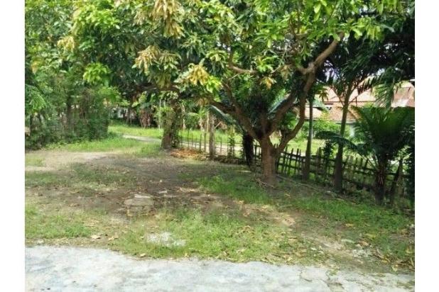 Rumah Dijual: Cepat - Asri Tanah Luas Murah Pademawu