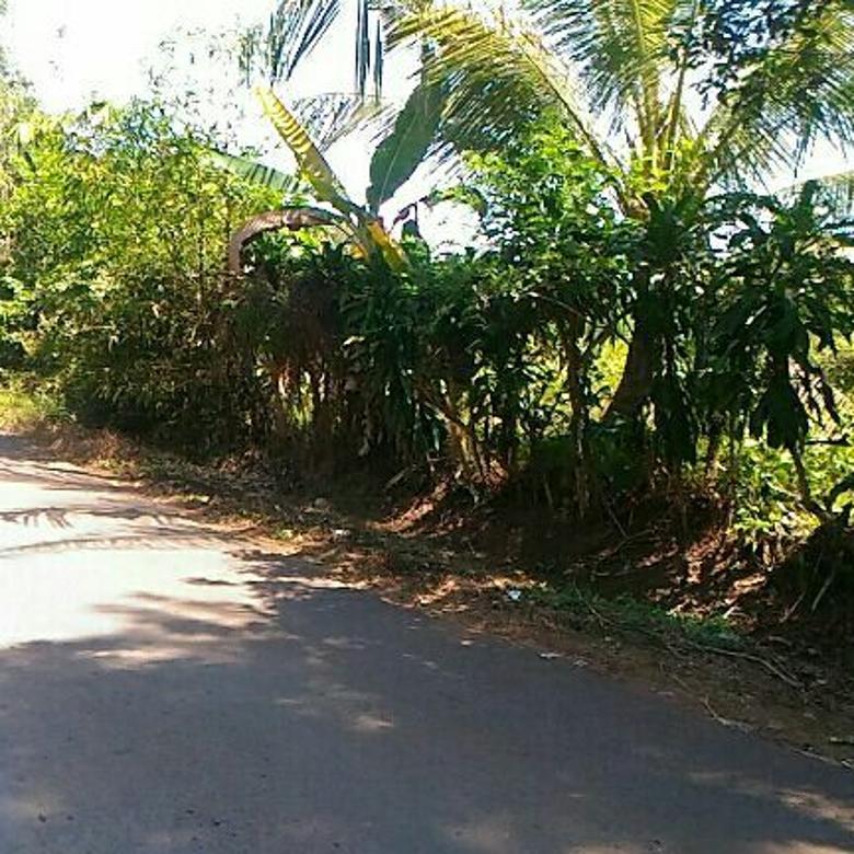  di jual  tanah  darat di Desa Balekambang Kec Jonggol Kab 