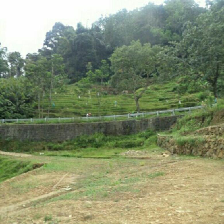 Dijual Tanah Murah Di Puncak Wisata Tawangmangu Karanganyar Solo