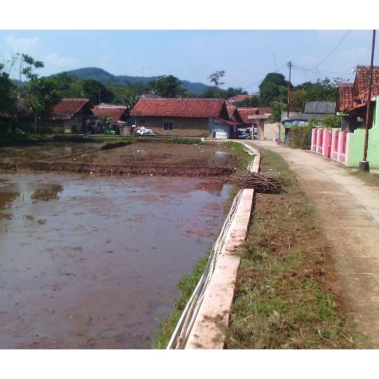  Tanah  Sawah Murah Cimanggu Bogor 