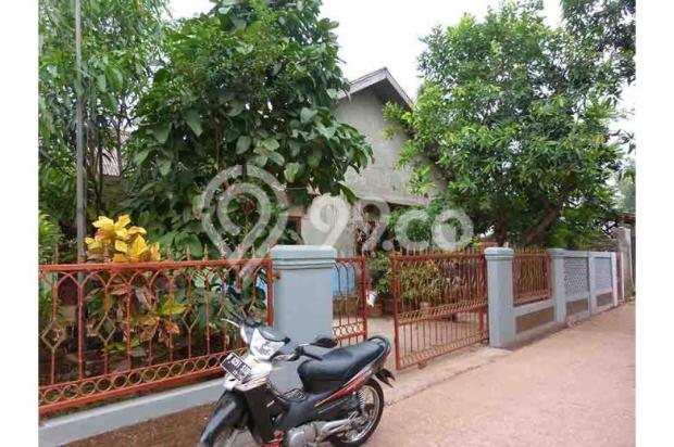 Rumah Bejo Adem +Kolam Ikan Cagar Alam DEPOK Kota