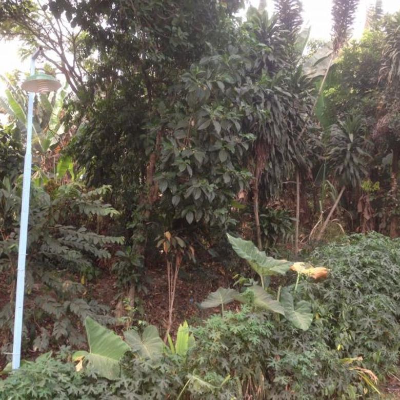 Tanah Kebun Untuk Dijual Melaka / Tanah Kebun untuk dijual - Land for