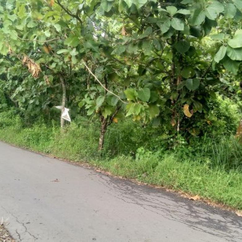 tanah luas 1460 m di pinggir  jalan  raya