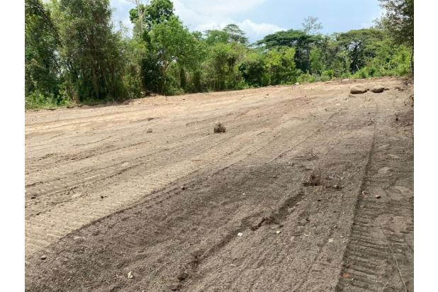 Tanah Bogor Tajurhalang 10 Menit Jalan Raya Parung Legalitas S