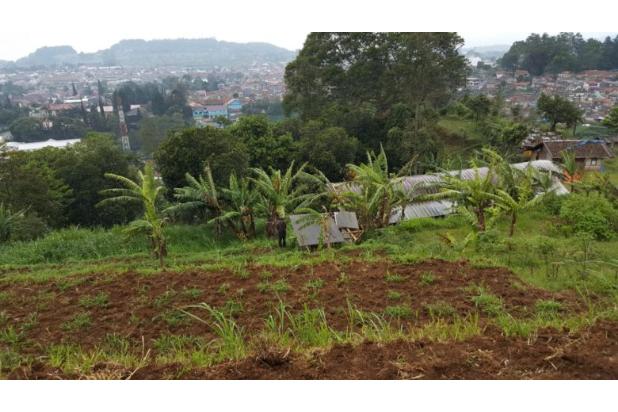 Edisi Banting Harga Tanah Matang Siap Bangun, Lembang Bandung