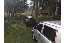 Jual Tanah Kebon Lokasi di Klapa Nunggal, Bogor