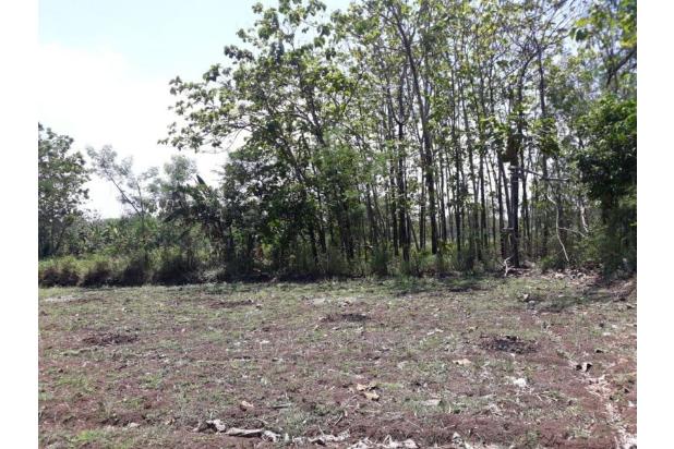 Tanah Tegalan Luas Harga Terjangkau di Nogosari Boyolali (DR)
