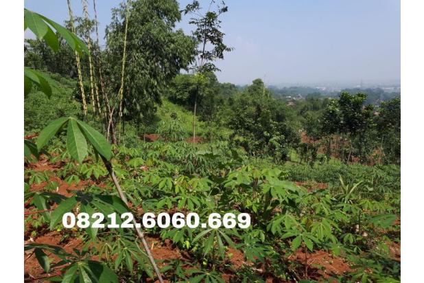 Tanah kebun 4 Hektar Dijual Murah Di Bandung, daerah Ciparay,