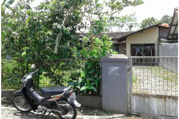 sleman kost murah pasutri di Jogja, Sleman Condong Di Catur Dijual: Kost Murah