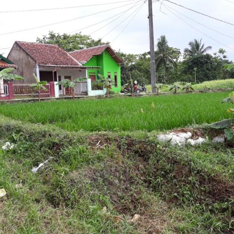 Lahan murah pinggir jalan berupa sawah tegal waru, bogor