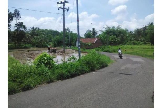 Tanah sumbersari jember dijual  Waa2