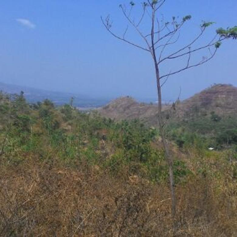  Tanah  Kebun Murah di  Puncak  Suji Babakan Peuteuy Cicalengka