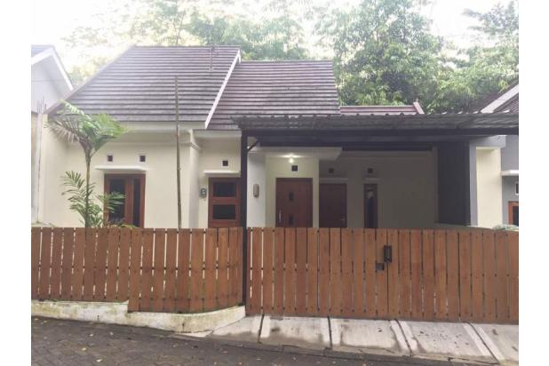 DISKON 100 Jt Bangunan Berkualitas Tinggi: Green Tulip