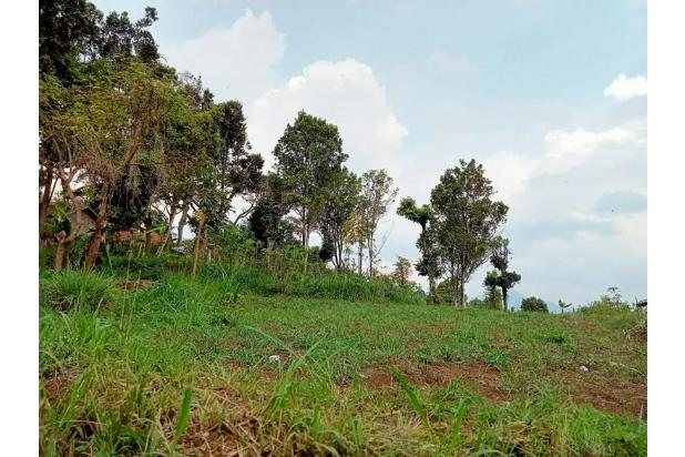 BU CEPAT Tanah Matang Luas Siap Bangun Cilengkrang Bandung