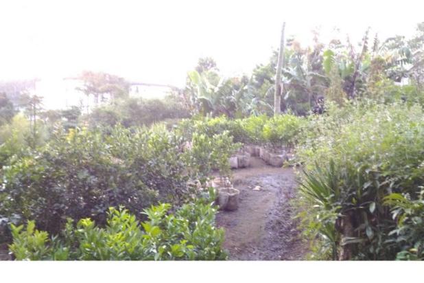 Tanah di Cihideung Bandung, Jual Tanah Murah di Jl.Sersan 