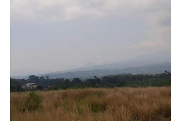 Tanah Lahan Murah Siap Bangun Luas 4.2 Hektar di Cipicung, Cijeruk Bogor Jawa Barat