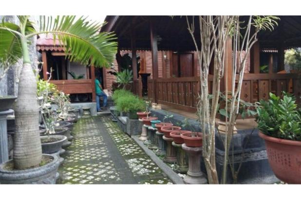 Rumah Dijual: Murah Etnik Joglo Taman Siswa JPS