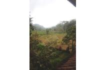 DIJUAL Rumah Vila Gadog -alternatif Puncak- KM 5