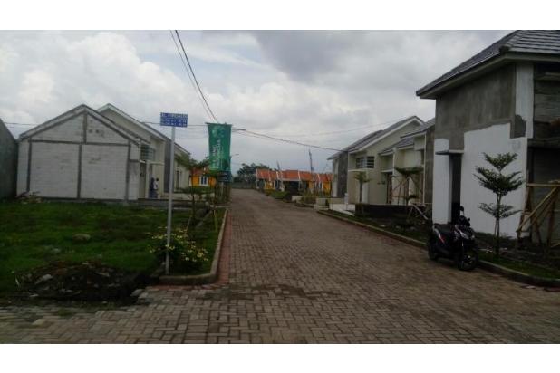 Rumah Dijual di Lumajang, Jawa Timur  hal 2