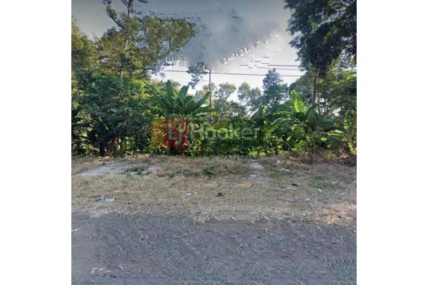 Tanah Luas, Cocok Industri & Pergudangan (Perkebunan) Jl Raya Semarang-Batang - 6810