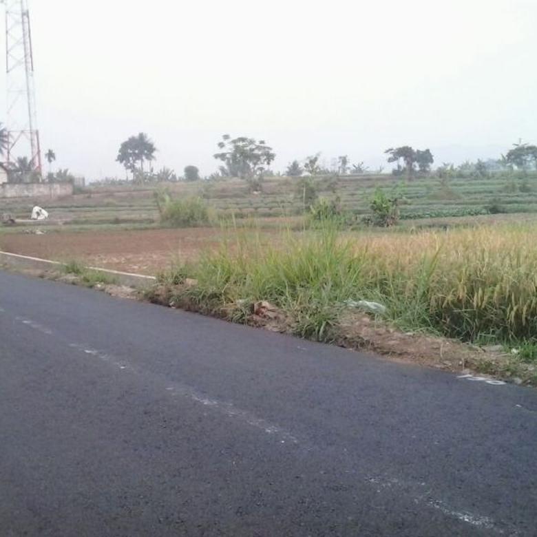 Dijual Tanah  Sawah Strategis di  Cinangneng Tenjolaya Bogor 