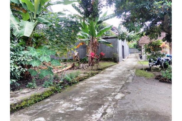 Dijual Tanah Luas Jalan Kaliurang, Harga Tanah Murah 