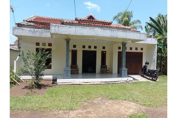 Rumah Kampung Dijual Di Bogor Info Harga Dan Pilihan Terbaru