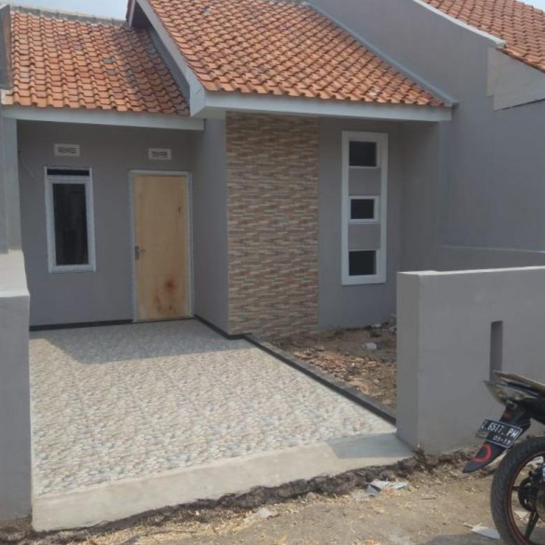  Rumah Minimalis Viral  Rumah  Minimalis 