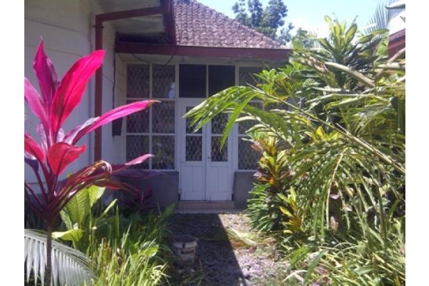 Rumah Dijual: di Jl. TGP Ijen Malang - Urbanindo.com
