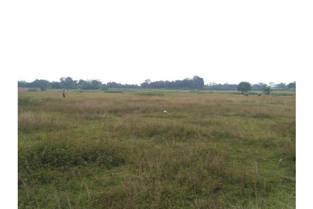 Tanah (Ijin industri) di Tigaraksa, pinggir jalan.