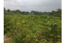 Tanah seluas 6000 M2 di desa Sampora, Serang baru, Bekasi