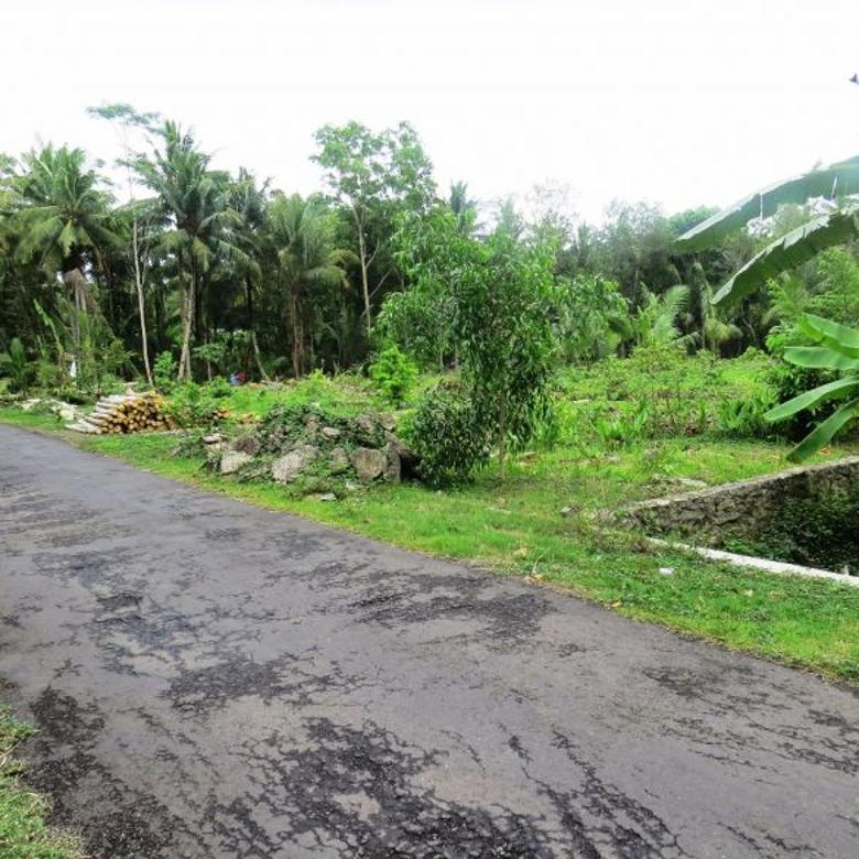 Tanah Murah Sekali: Harga Pasaran, Nilai Komersial Naik