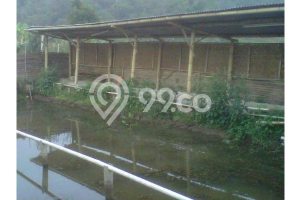 Tanah Villa Gambung 3100m2 Soreang+Kolam Pemancingan 