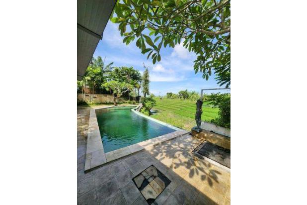 3 Bedrooms Villa With Ricefield View Just 5 Mins From Berawa Beach
